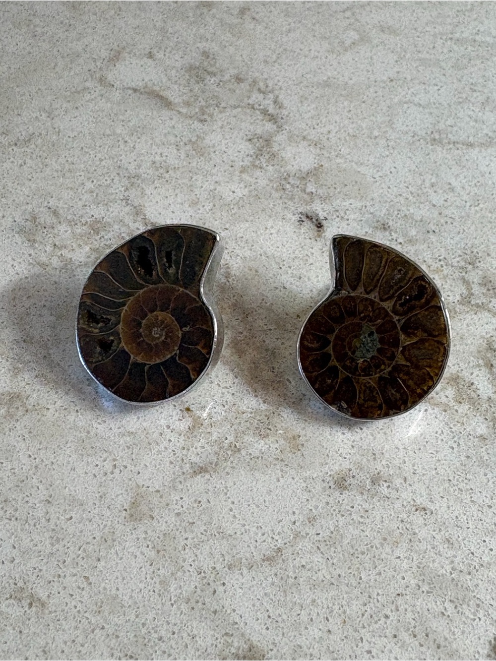 Ammonite Fossil Pair Accent Stones in Brown sterling silver item F3